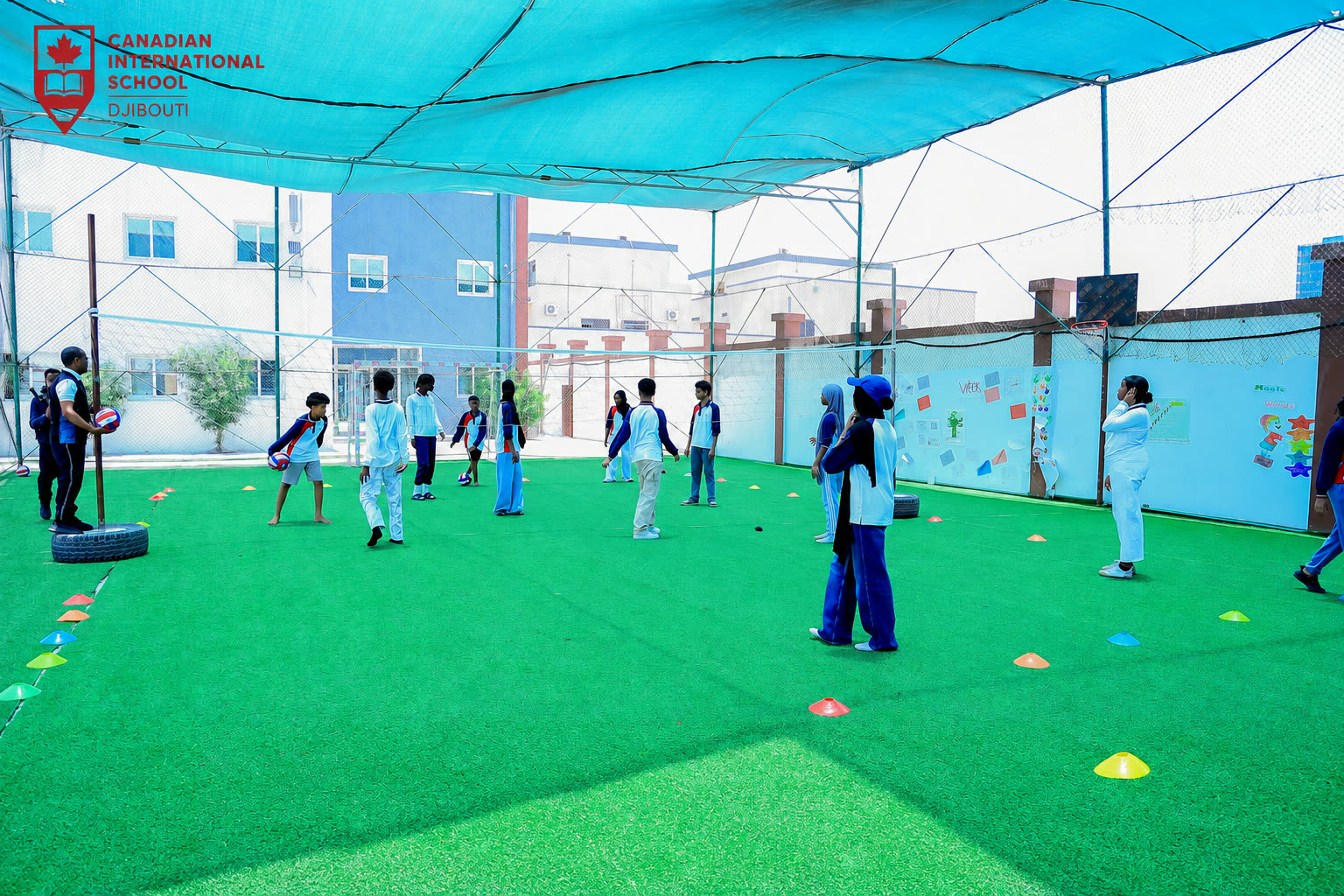Sports and PE